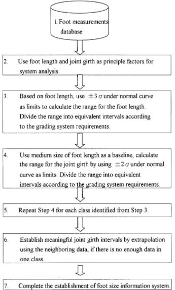 Fig. 5. Flowchart for establishing a foot size speci"cation sys- sys-tem.
