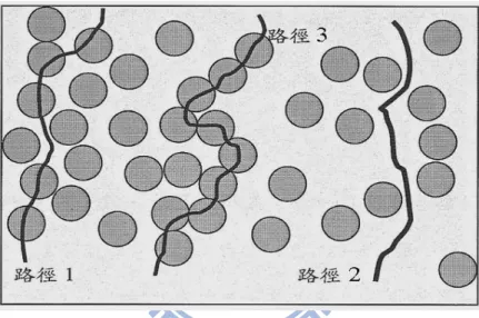 圖 2- 5  電流於多孔隙介質中三種主要傳導路徑（修改自 Sauer, 1955）  在不同之土壤中，因為細粒料含量的不同也將對其導電路徑有不 同之影響，對於無細粒料的砂土與礫石而言，其傳導路徑以孔隙水為 主（Jackson,  1973），而對含較多細粒料之岩石、砂土以及黏土，其 導電路徑則是以孔隙水以及黏土礦物的表面電荷為主(Rhodes  et