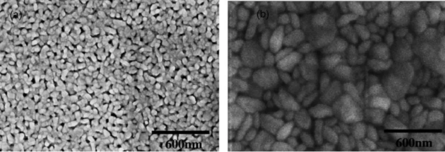 Fig. 3. SEM images of SBT on 4 nm Al 2 O 3 /Si annealed at (a) 800 ◦ C and (b) 900 ◦ C.