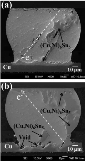 FIG. 7. Cross-sectional SEM image showing the microstructure of solder joints after current stressing by 1.4  10 4