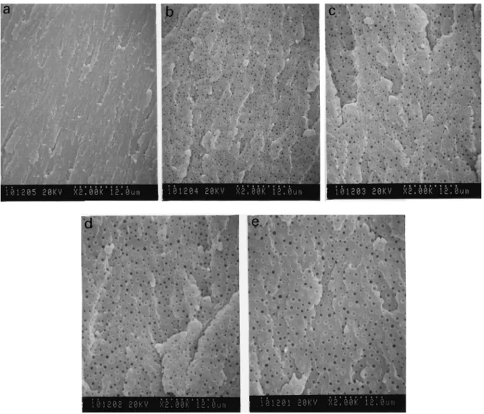 Fig. 2a and b display the PCL-rich particles dispersed in the PCL12 blends, implying that the PCL phase separation
