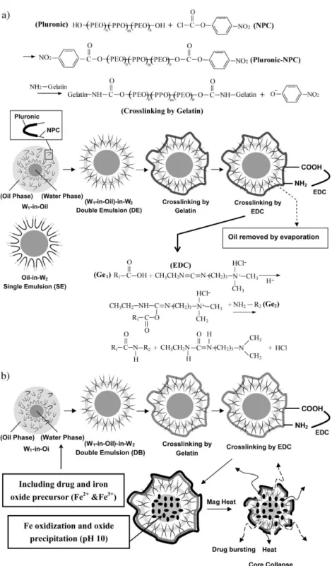 Figure 1. a) Chemical reactions, self-assembly and schematic structures of various nanocap- nanocap-sules, b) procedure for encapsulating drug and iron oxide into nanocapsules and events triggered by magnetic heating: volume shrinkage, core collapse, heat 