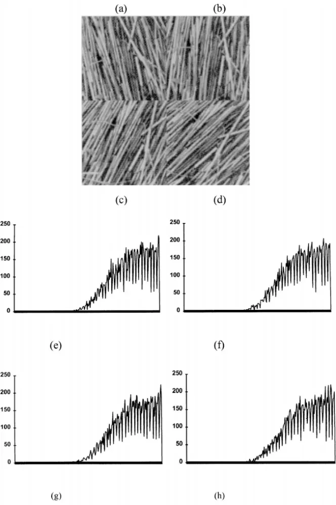 Fig. 4. (a)—(d) are four natural texture images with different orientations, and (e)—(h) are their corresponding FUTS, respectively.