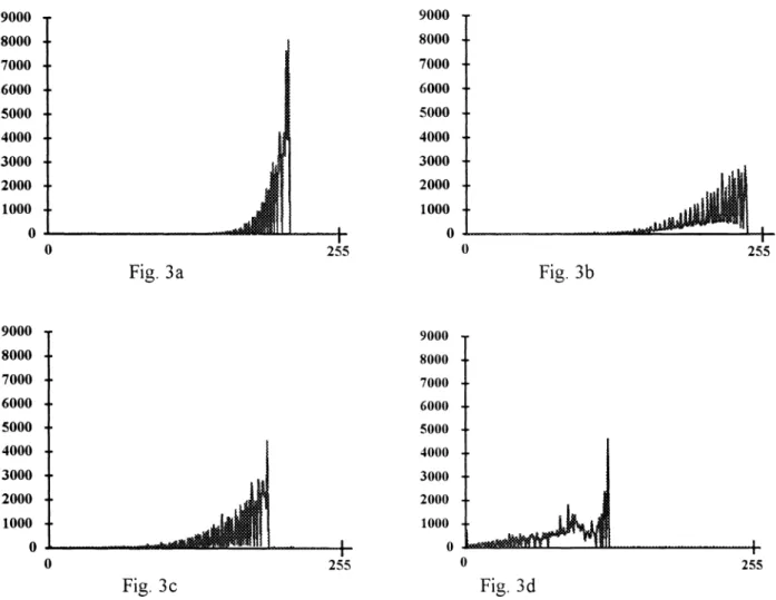 Fig. 3a-3d: Four MGTS for the four images shown in Fig. 4a-4d , respectively, using 5x5 neighborhood