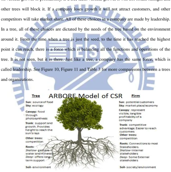 Figure 10- ARBORE Model of CSR 