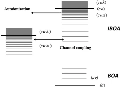 Fig. 2. A schematic plot showing the channel coupling ðcwmÞ $ ðcw 0 m 0 Þ and the autoionization ðcwmÞ $ ðcw 0 kÞ mechanisms.