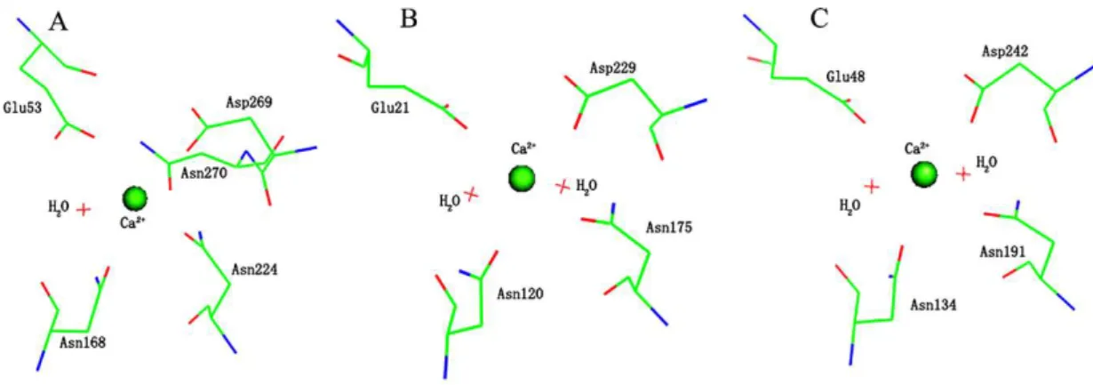Figure 2. Active site structures of PON1 (PDB code: 3SRE) [15] (A), DFPase (PDB code: 2GVW) [18]  (B) and XC5397 (PDB code: 3DR2) [28] (C), respectively