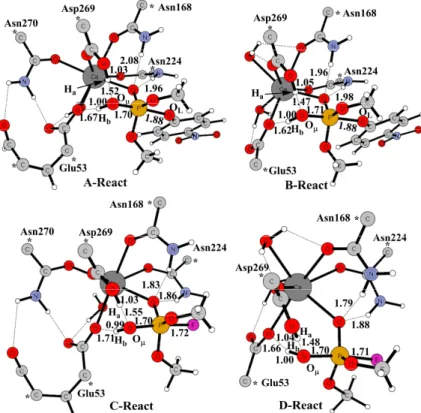 Figure 3. Optimized geometries of reactants along the reaction paths of (A) PON1W-Paraoxon, (B)  PON1M-Paraoxon, (C) PON1W-DFP, and (D) PON1M-DFP models