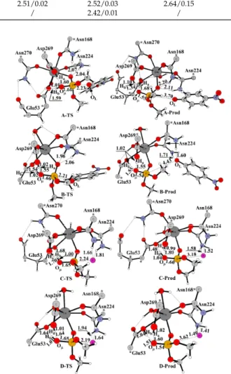 Figure 4. Optimized geometries of transition states and products along the reaction paths of (A) PON1W-Paraoxon, (B) PON1M-Paraoxon, (C) PON1W-DFP, and (D) PON1M-DFP models