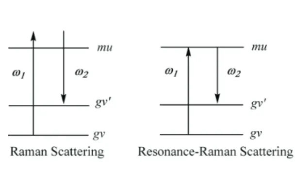 Fig. 18. Energy level diagram for Raman scattering and Resonance-Raman scattering.
