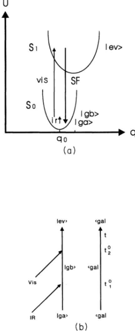 FIG. 2. (a) Schematic for doubly resonant infrared-visible sum-frequency generation process between the potential energy surfaces of the electronic ground state [So] and the first  elec-tronic excited state [S, ], and (b) the corresponding double Feynman d