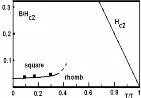 Fig. 1. Square and rhombic vortex lattice structures under disorder (black squares are experimental data of a LuNi 2 ÆB 2 C superconductor).