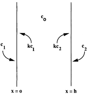 FIG. 2. Solid slab illustrating the initial and boundary conditions applying to the gas concentration.