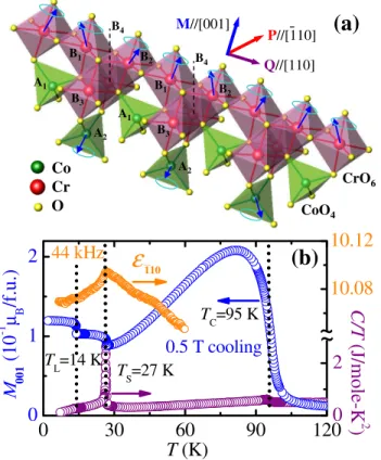 FIG. 1 (color online). (a) Crystallographic and low-T magnetic structure of spinel CoCr 2 O 4 