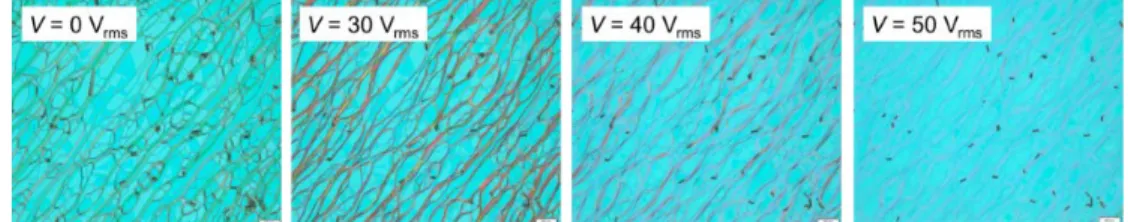 Fig. 6. Optical textures of a DFCLC at various applied voltages. 