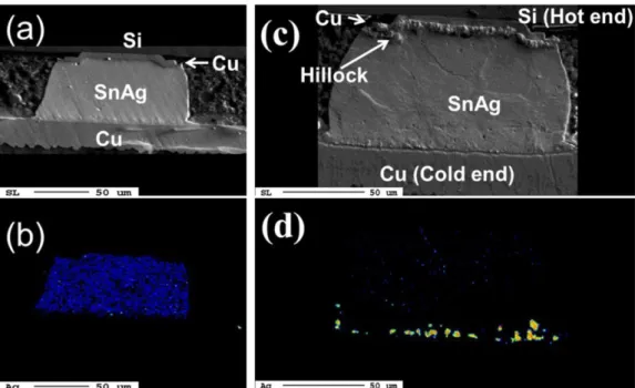 Fig. 12 (a) and (b) shows the solder joints with 5 m m Cu UBMs before electromigration and thermomigration tests