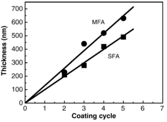 Fig. 4. Surface morphology of the single-cycle furnace annealed CaCu 3 Ti 4 O 12