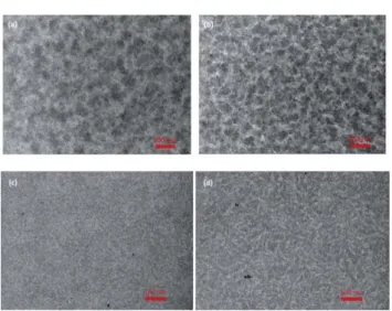 Fig. 7 presents TEM images of the PBTT4BO/PC 61 BM and