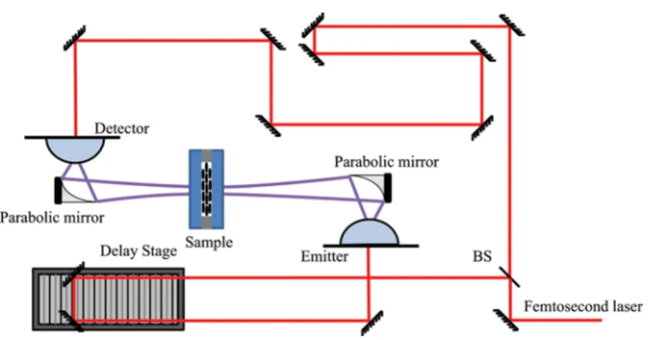 Figure 2. The schematic experimental setup for THz-TDS. BS: beam splitter. (Figure appears in color online.)