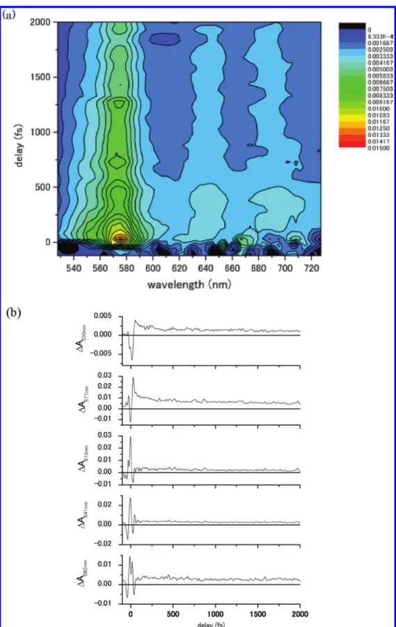 Figure 2. Observed time-resolved difference absorption spectra. (a) Two-dimensional display of measured time-resolved difference absorption spectra ΔA(t,λ)