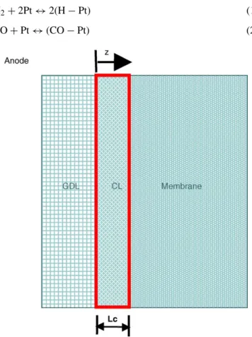 Fig. 1. A schematic model for the anode domain of the PEM fuel cell.