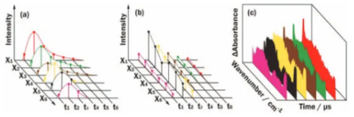 Fig. 1. Schematic diagram of the data acquisition of a step-scan FTIR spectrometer. (a) Temporal profiles at varied steps x i are recorded
