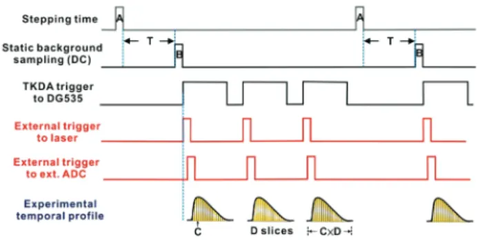 Fig. 4. Time chart of the Vertex80v spectrometer oper- oper-ating in its external-trigger mode