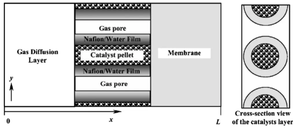 Fig. 1. Schematic of the model [12].