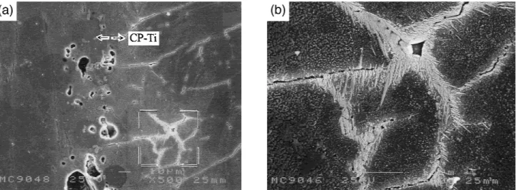 Fig. 1. (a) SEM micrograph of the cross section between titanium and 3-mol%-yttria-stabilized zirconia after reaction at 1750°C for 7 min
