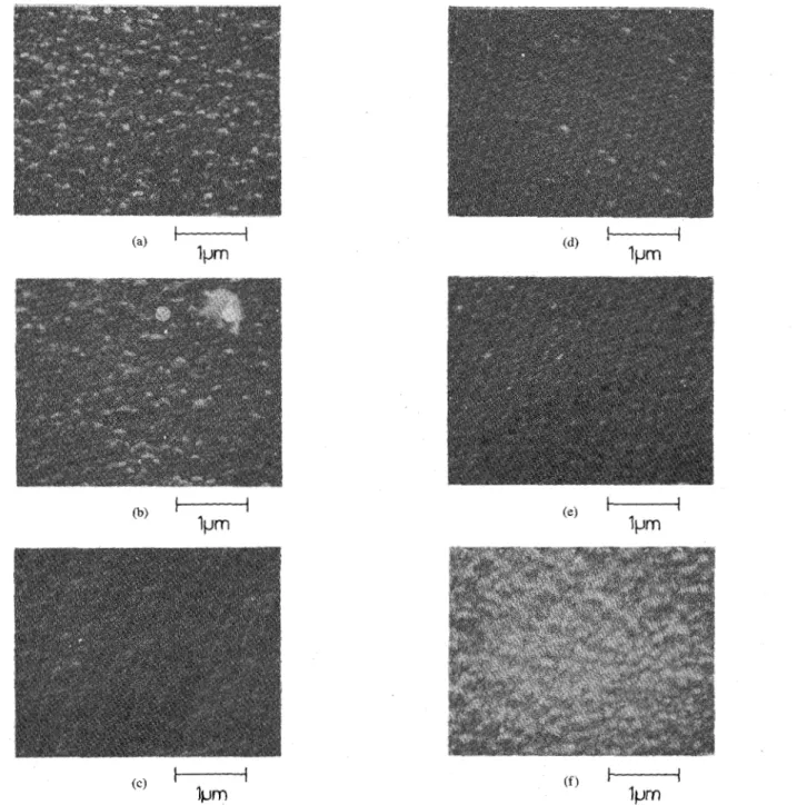 Fig.  13.  The SEM photographs  showing the  surface morphology  O F   the poly-Si  films  on  which  the  poly-oxide  layers  have  been  removed  for dry  O2  oxidation  at (a) 900°C,  (b)  1000°C, and  (c)  llOO”1:;  for  steam  oxidation  at (d) 900”C,