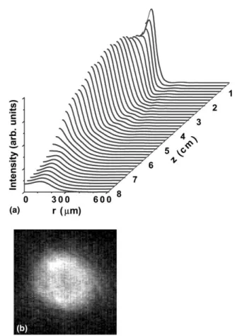 Fig. 4. (a) The numerical beam proﬁle variation along the propagation distance z for L = 6.10 cm