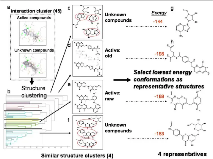 Figure 6 The process and results of second stage cluster analysis on hDHFR testing dataset