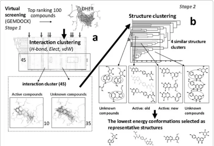 Figure 1 Overall process of the Two-Stage Combinatorial Cluster Analysis. (a) First stage clustering using protein-ligand interactions generated via GEMDOCK