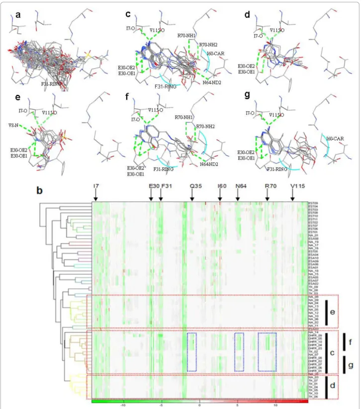 Figure 3 Cluster analysis of hDHFR. (a) Overlay of all 61 docked poses of known active compounds in the vicinity of the target protein hDHFR (PDB code: lhfr)