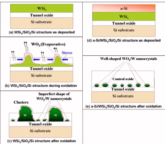 FIG. 4. 共Color online兲 Schematic dia- dia-gram of the rapid thermal oxidation process