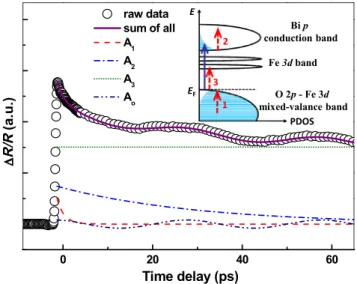 Figure 1 shows the photoinduced DR/R in a BFO thin film. Electronic excitations generated by the pump pulses