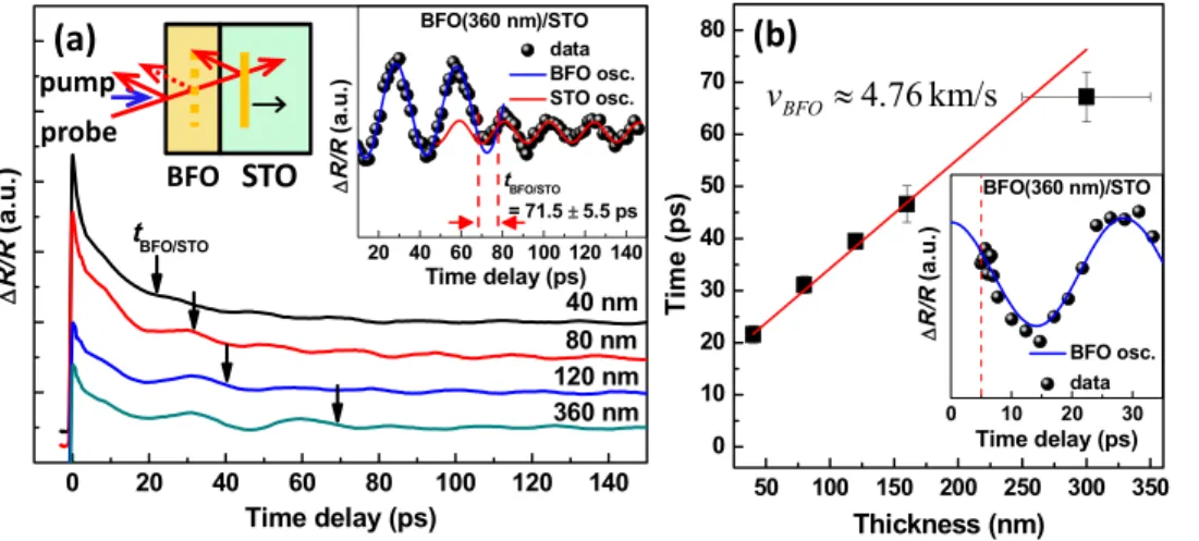 FIG. 2. (a) The DR/R on (110) BFO thin films with various thicknesses. The arrows indicate the BFO/STO interface