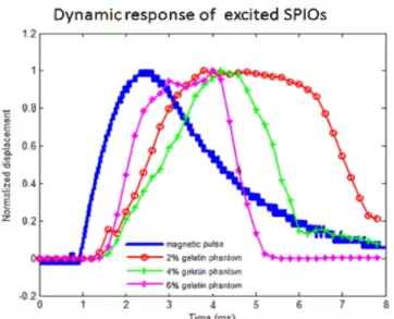 Figure  5  shows  the  dynamic  responses  of  the  excited  SPIO  nanoparticles  in  the  2  %,  4  %  and  6  %  gelatin  phantoms