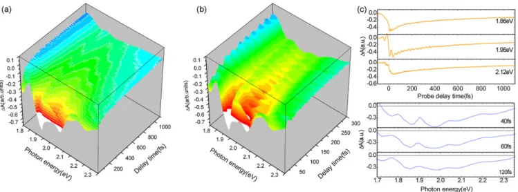 Fig. 1. Laser spectrum (solid line) and stationary absorption (dotted line) spectrum of t-PA.