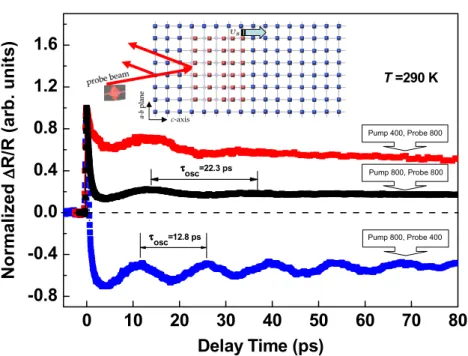 Figure 4. The photo-induced 1R/R at various pump and probe wavelengths. Inset: schematic illustration of the oscillated 1R/R due to a strain pulse.