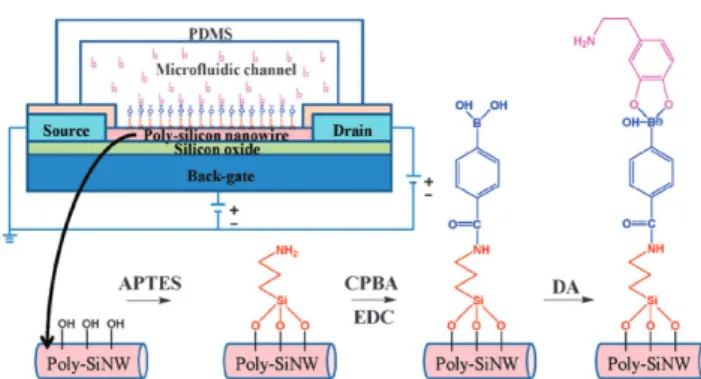 Fig. 1 SEM image and electrical characterization of a poly-SiNW FET with two NW channels
