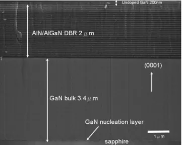 FIG. 1. A SEM image of UV DBR from cross-section view. The total thickness of 25-pairs AlN/AlGaN is about 2 ␮ m.