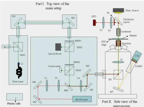 Fig. 1. Simplified schematic of the optical tweezers system (not to scale). The near-infrared laser (fiber laser) was used as the  optical trapping beam