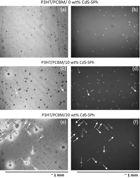 Fig. 6. Images of P3HT/PCBM or P3HT/PCBM/CdS-SPh thin ﬁlms under optical (left ﬁgures) and ﬂuorescence (right ﬁgures) microscopes.