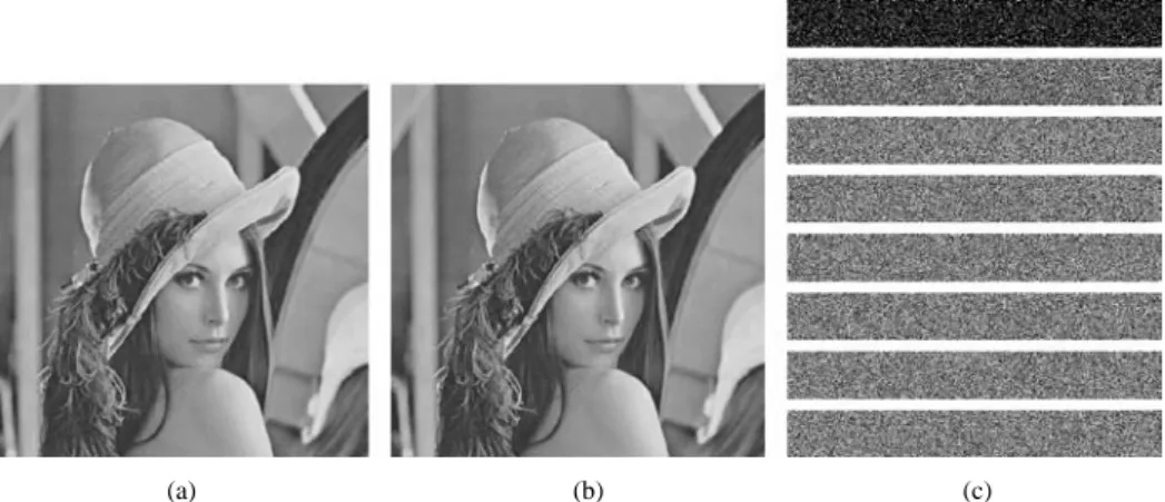 Fig 1. A sharing result for n = 8.  (a) initial image Lena; (b) modified image Lena*, which contains the image U, from which all extracted a i  values are in the range 0-250 (see Eq