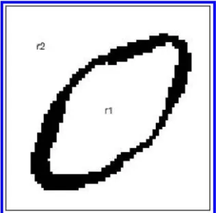 Fig. 9. The initial segmentation of Fig. 8 after integrating segmented subimages, r 1 and r 2