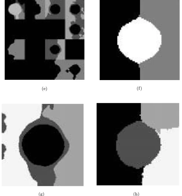 Fig. 11 (Continued ). (e) The region edited result of (d). (f) The segmented result of the proposed method
