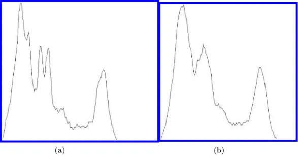 Fig. 4. An example to explain the necessity of histogram smoothing. (a) A histogram with many granules