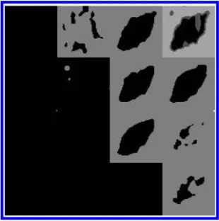 Fig. 7. Thresholded subimages of Fig. 3 with some fragmented regions.Int. J. Patt. Recogn