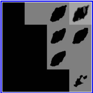 Figure 8 shows the resulting image after applying region editing on Fig. 7. Fragmented regions are merged with their appropriate neighboring regions, the resulting regions provide a better base for segmentation.